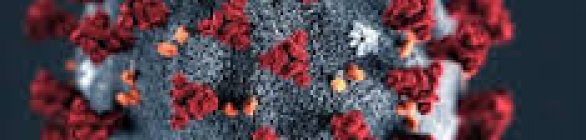 Brasileiros tem medo da reinfecção da Covid