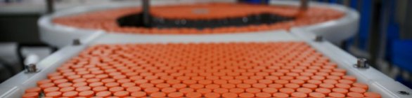 Estudo aponta eficácia da Coronavac