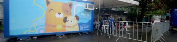 Castramóvel realizou cerca de 40 mil 