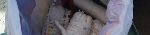 Apreendidos explosivos de pesca predatória