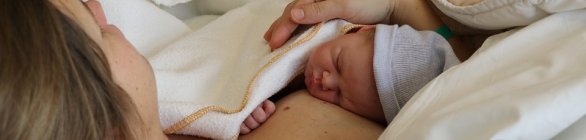 Programa de assistência a gestantes é sancionado