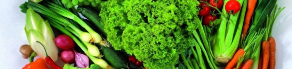 Conab verifica queda nos preços de hortaliças