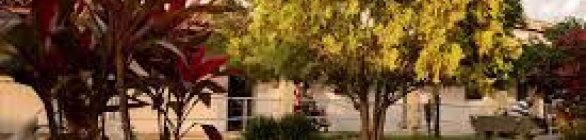 Espaços promovem diálogo e saúde mental de idosos em Feira de Santana (BA)