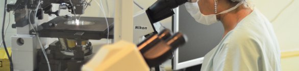 Junho - Mês Mundial de Conscientização da Infertilidade 