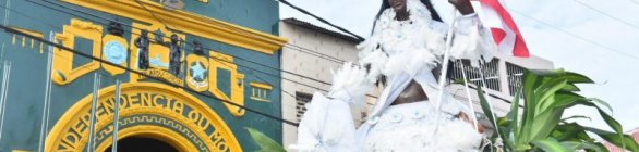 Academia de Ciências da Bahia celebra o Dois de Julho com “cortejo virtual