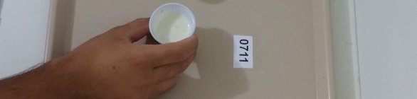 Novo tipo de iogurte à base de cogumelo é criado na Bahia