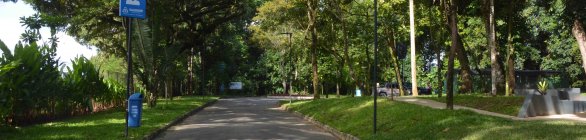 Caminhada no Jardim Botânico proporciona mergulho na história do país