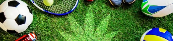 Cannabis medicinal pode ser opção para ajudar atletas com o tratamento de dor