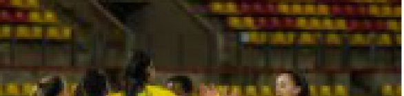 Brasil no Torneio Internacional da França de futebol feminino