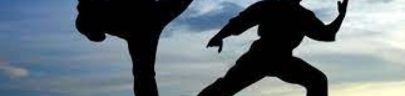  Lauro de Freitas sediará primeiro Festival Municipal de Artes Marciais