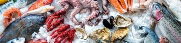   Até o momento, não há risco de consumo de frutos do mar, diz ministro