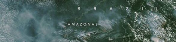 Bahia adere a campanha contra queimadas na Amazônia