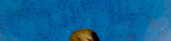 Perto de completar 100 jogos no Bahia, Douglas avalia legado