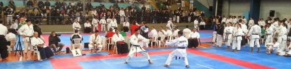 XXII Campeonato de Karatê de Semi-Contato acontecerá nos dias 22 e 23 de julho